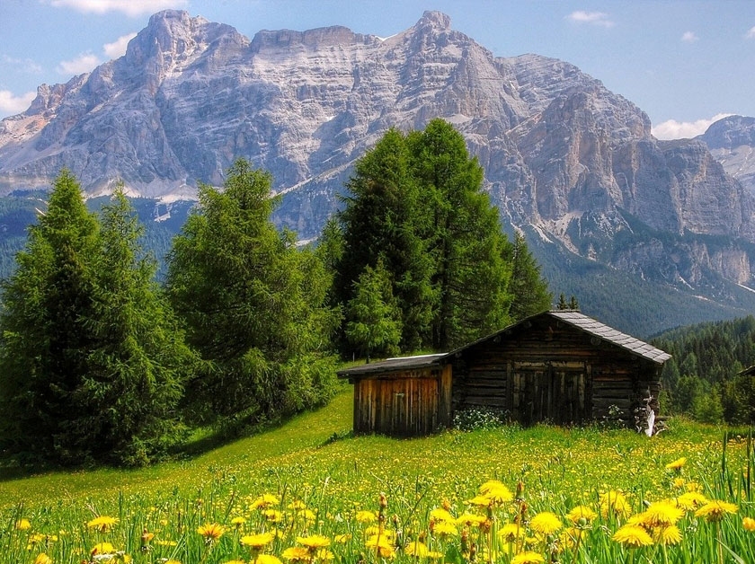 Alpská regenerační masáž - horské bylinky